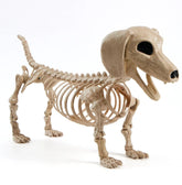 Posable Skeleton Wiener Dog - 24in Halloween Decoration