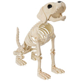 Halloween Golden Retriever Skeleton 34" Animal Dog
