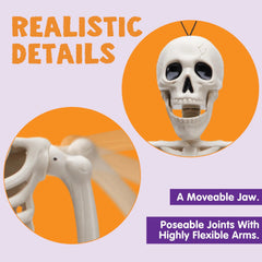 2 PCS 24-Inch Halloween Full Body Posable Skeletons - Human Plastic Bones with Movable Joints