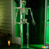 5.6ft Halloween Life Size Skeleton with Movable Joints and Realistic Bones