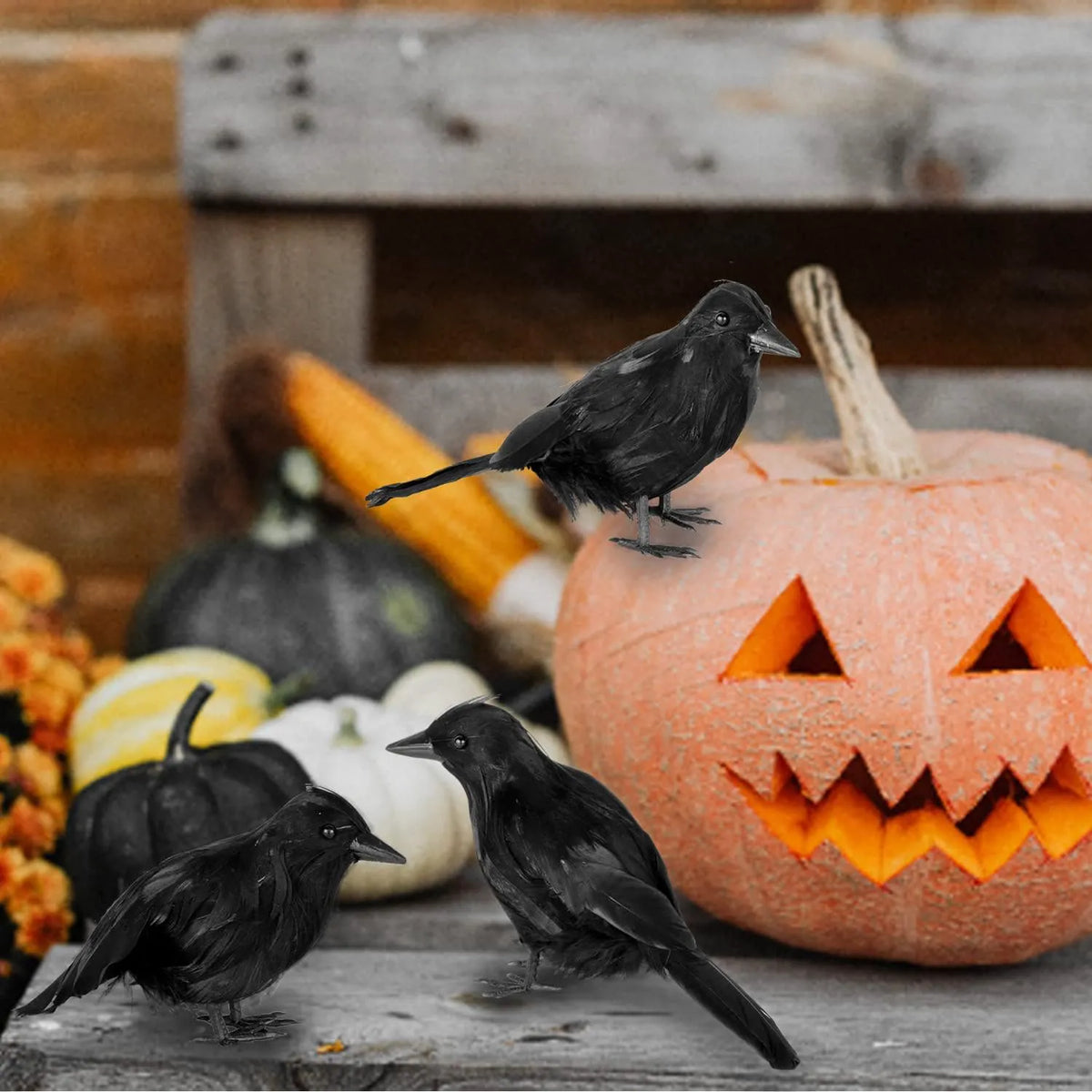 Halloween Crow Decoration Set (6 Pack)