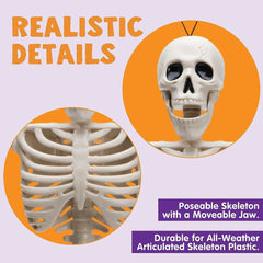 JOIN 10-Pack 16-Inch Halloween Hanging Skeletons
