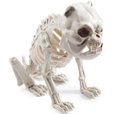 JOYIN 11-Inch Halloween Skeleton Dog with Posable Joints