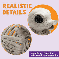 JOYIN 2 Pack 4.5-Inch Halloween Duck Skeleton Plastic Bones