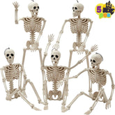 5 PCS Posable Halloween Skeletons, 16 Inches Full Body with Posable Joints