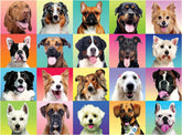 Multicolor Dog Puzzle, 300 Pieces