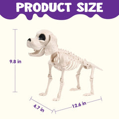 Posable Halloween Dog Skeleton - Full Body with Posable Joints - Skeleton Puppy
