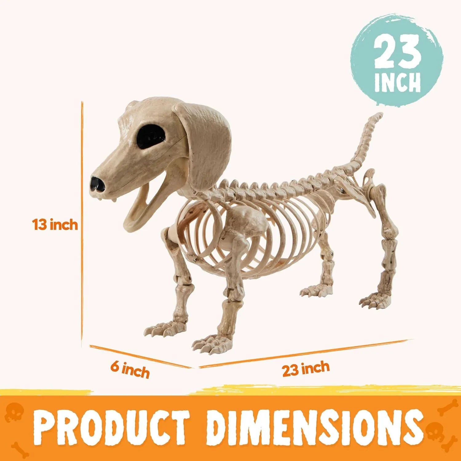 Posable Skeleton Wiener Dog - 24in Halloween Decoration