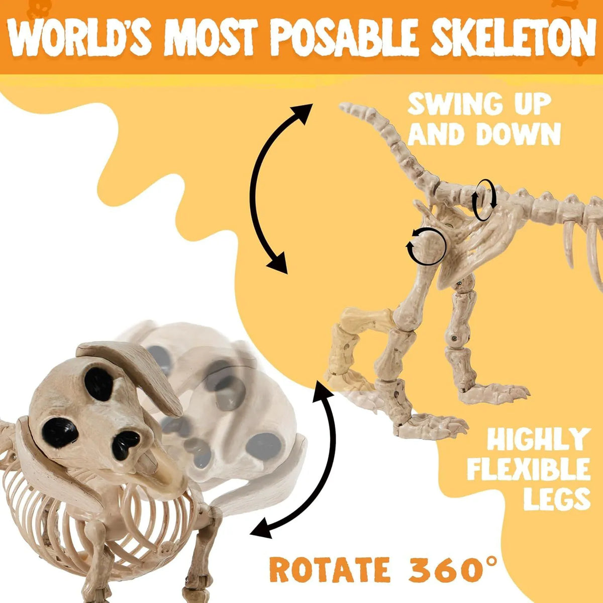 Posable Skeleton Wiener Dog - 24in Halloween Decoration