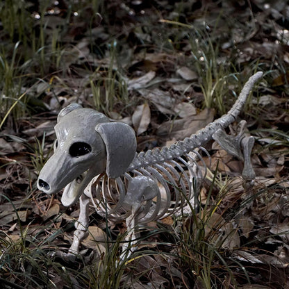 Posable Skeleton Wiener Dog - 24in Halloween Decoration