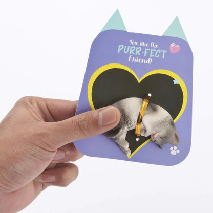 16-Pack Kids Valentine's Day Cards with Dog and Cat Figurine Toys for Classroom Exchange