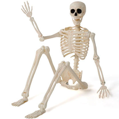 36-Inch Halloween Skeleton Decoration