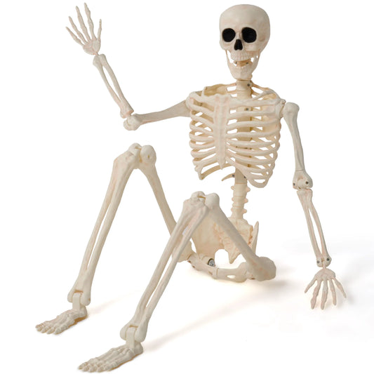 36-Inch Halloween Skeleton Decoration