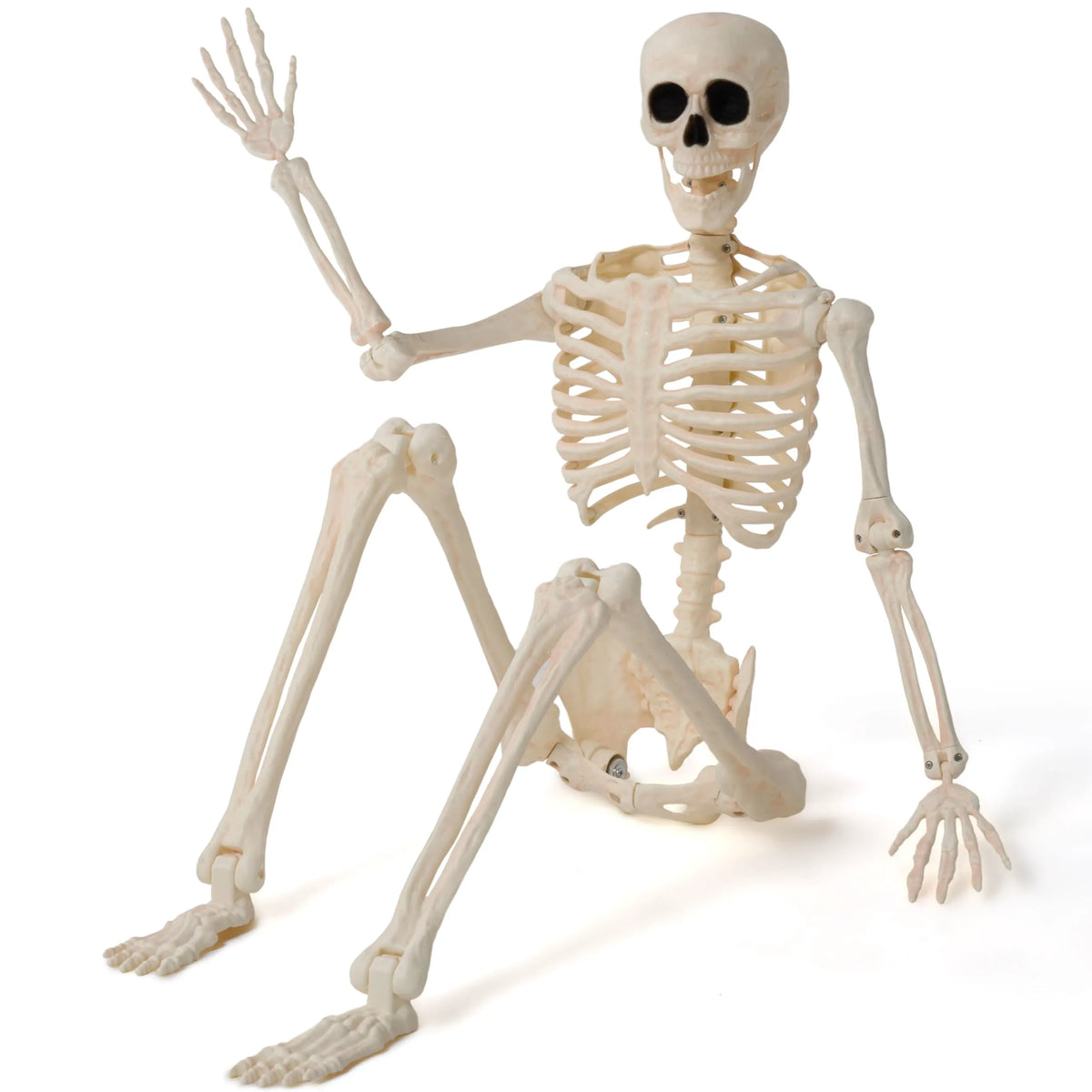 36-Inch Halloween Skeleton Decoration