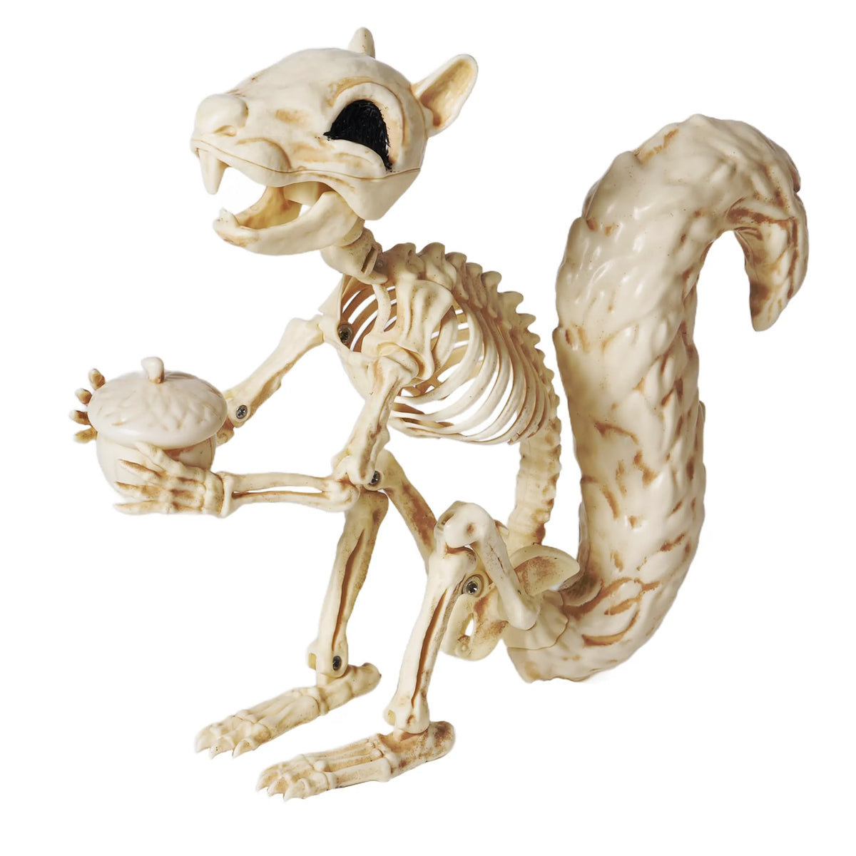 9.1-Inch Squirrel Skeleton Halloween Decoration