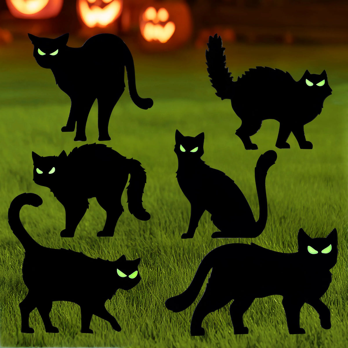 6 Halloween Black Cat Yard Signs with Glow-in-the-Dark Eyes