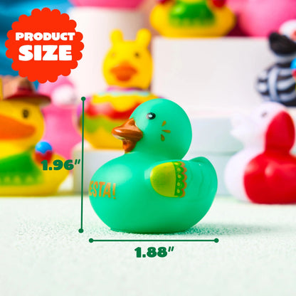 24 Mexican Fiesta Rubber Ducks for Party Favors & Decorations