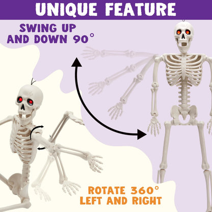 24-Inch Halloween Skeleton Full Body Plastic Bones
