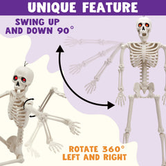 24-Inch Halloween Skeleton Full Body Plastic Bones