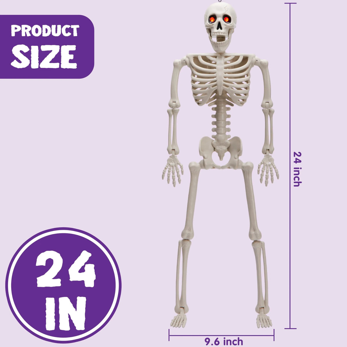 24-Inch Halloween Skeleton Full Body Plastic Bones