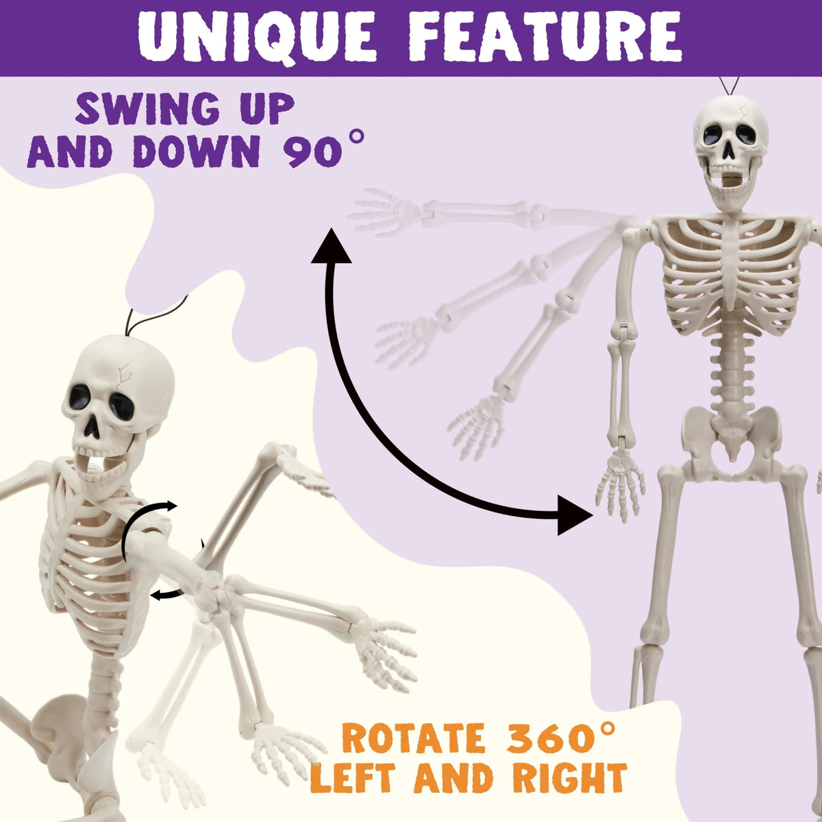 2 PCS 24-Inch Halloween Full Body Posable Skeletons - Human Plastic Bones with Movable Joints