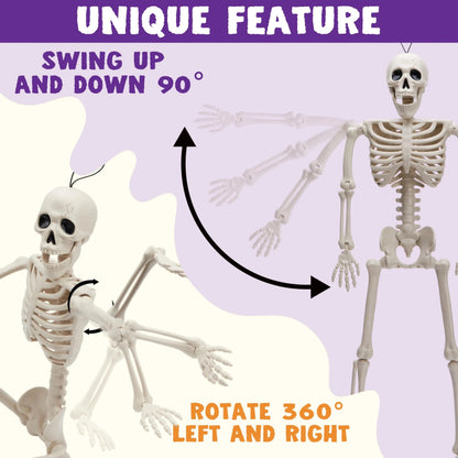 2 PCS 24-Inch Halloween Full Body Posable Skeletons - Human Plastic Bones with Movable Joints