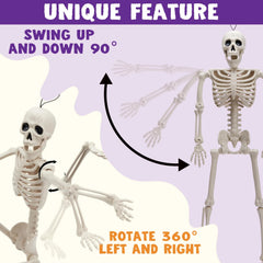 2 PCS 24-Inch Halloween Full Body Posable Skeletons - Human Plastic Bones with Movable Joints