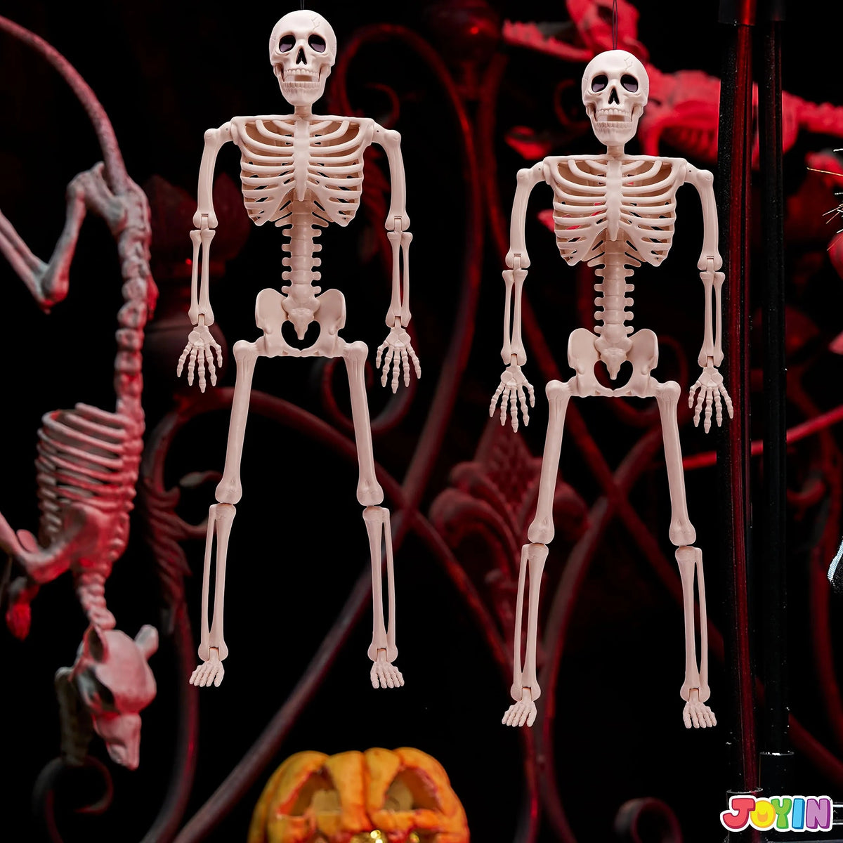 2 PCS 24-Inch Halloween Full Body Posable Skeletons - Human Plastic Bones with Movable Joints