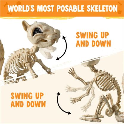 9.1-Inch Squirrel Skeleton Halloween Decoration