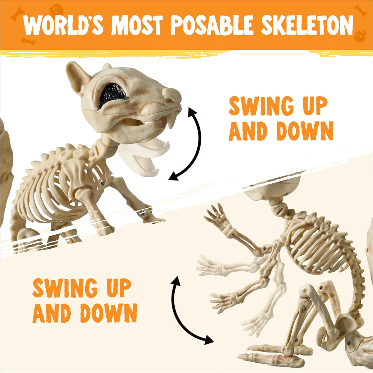9.1-Inch Squirrel Skeleton Halloween Decoration