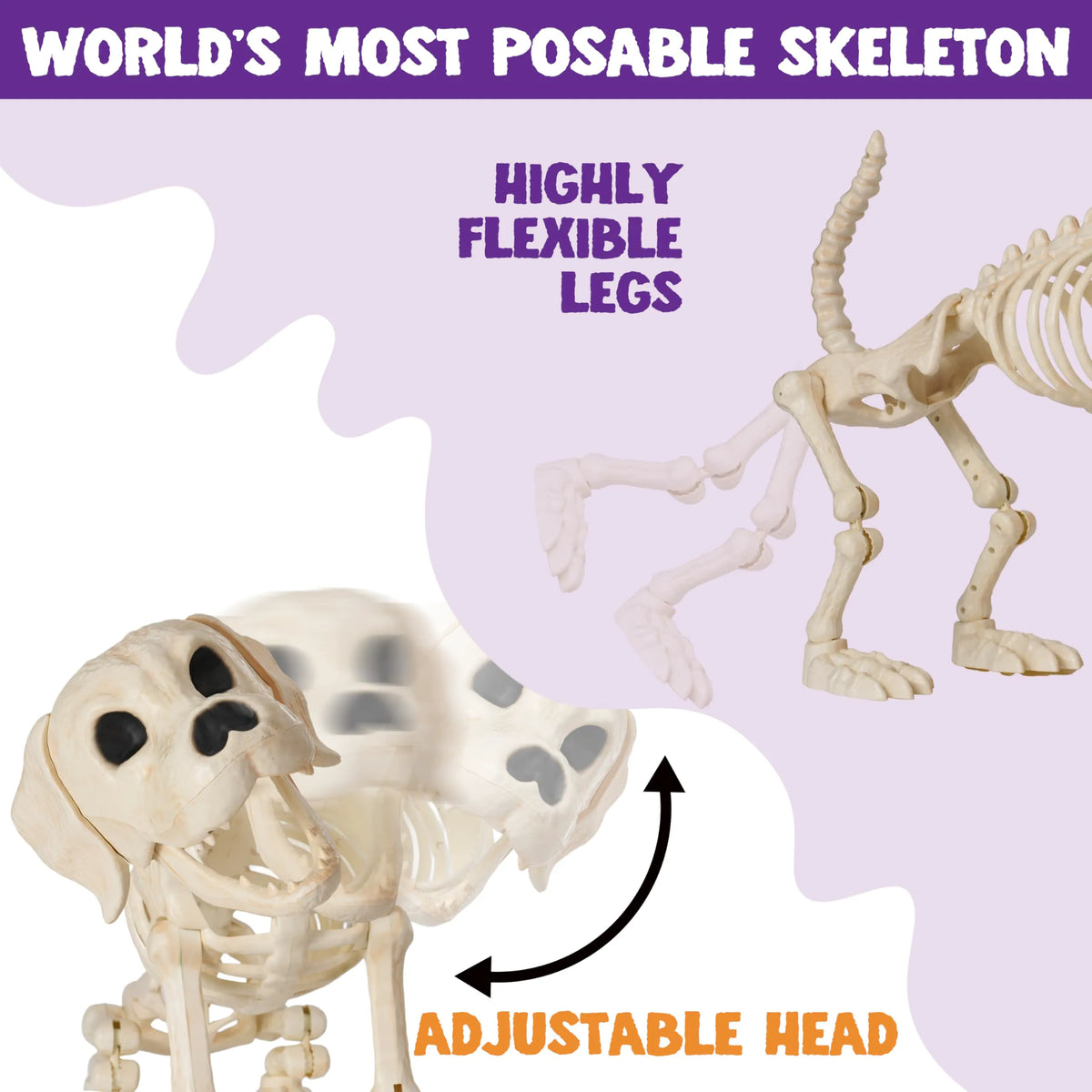 Halloween Golden Retriever Skeleton 34" Animal Dog