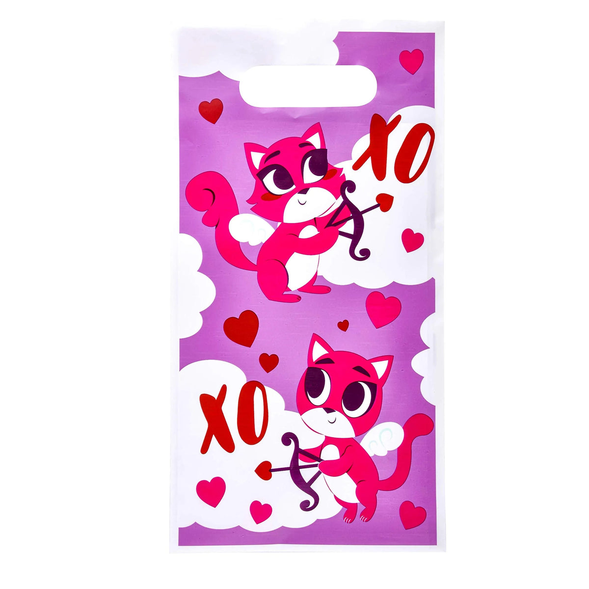48-Piece Valentine's Day Treat Bags Set