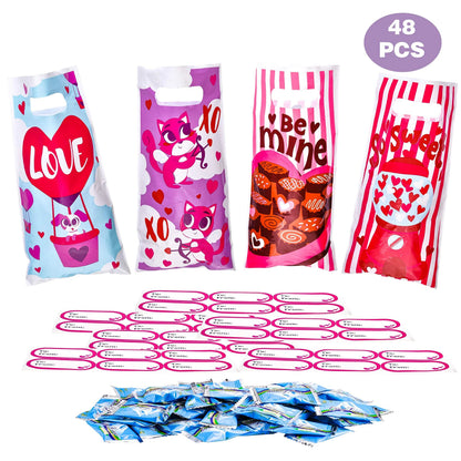 48-Piece Valentine's Day Treat Bags Set