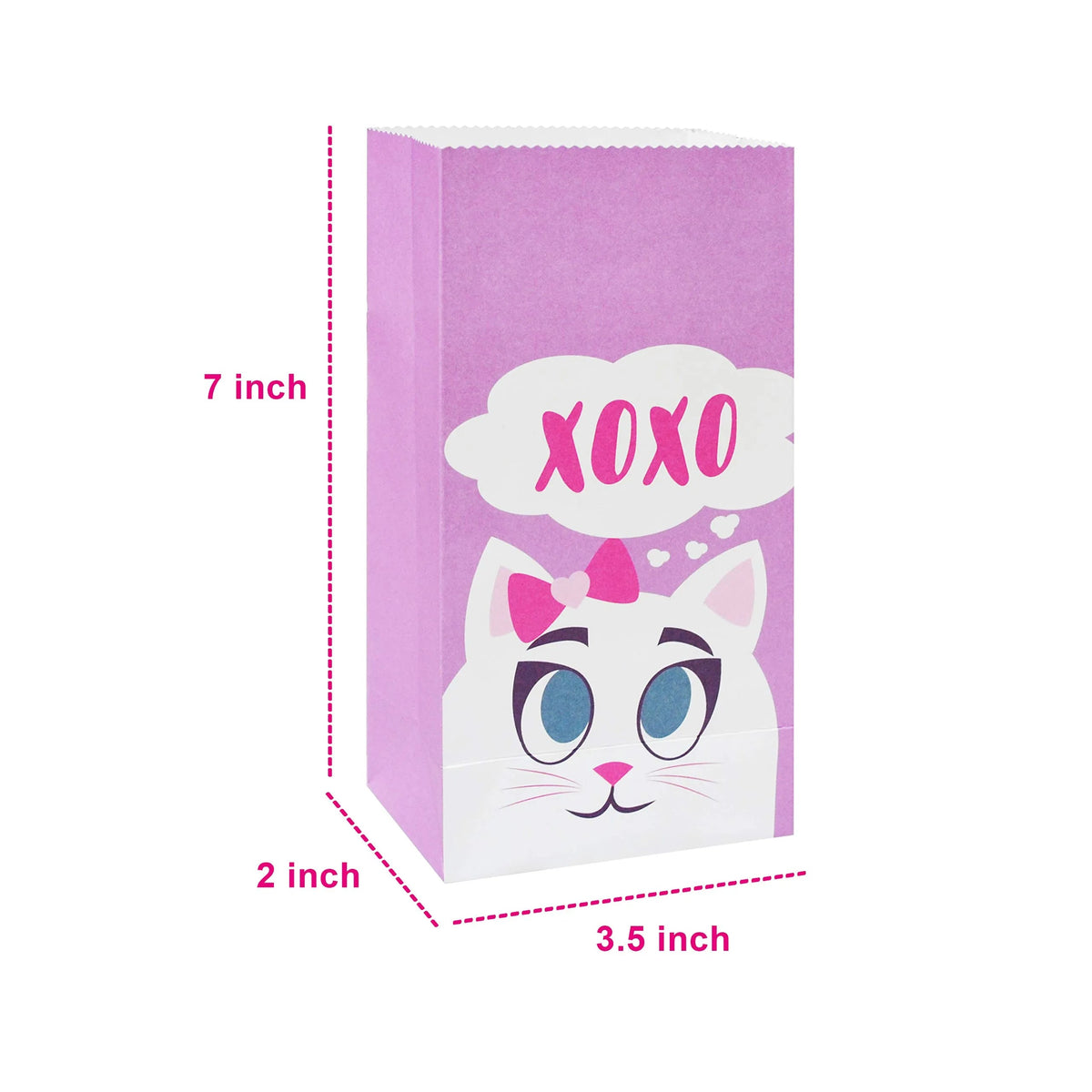 48 Valentine's Day Treat Paper Bags with Assorted Characters