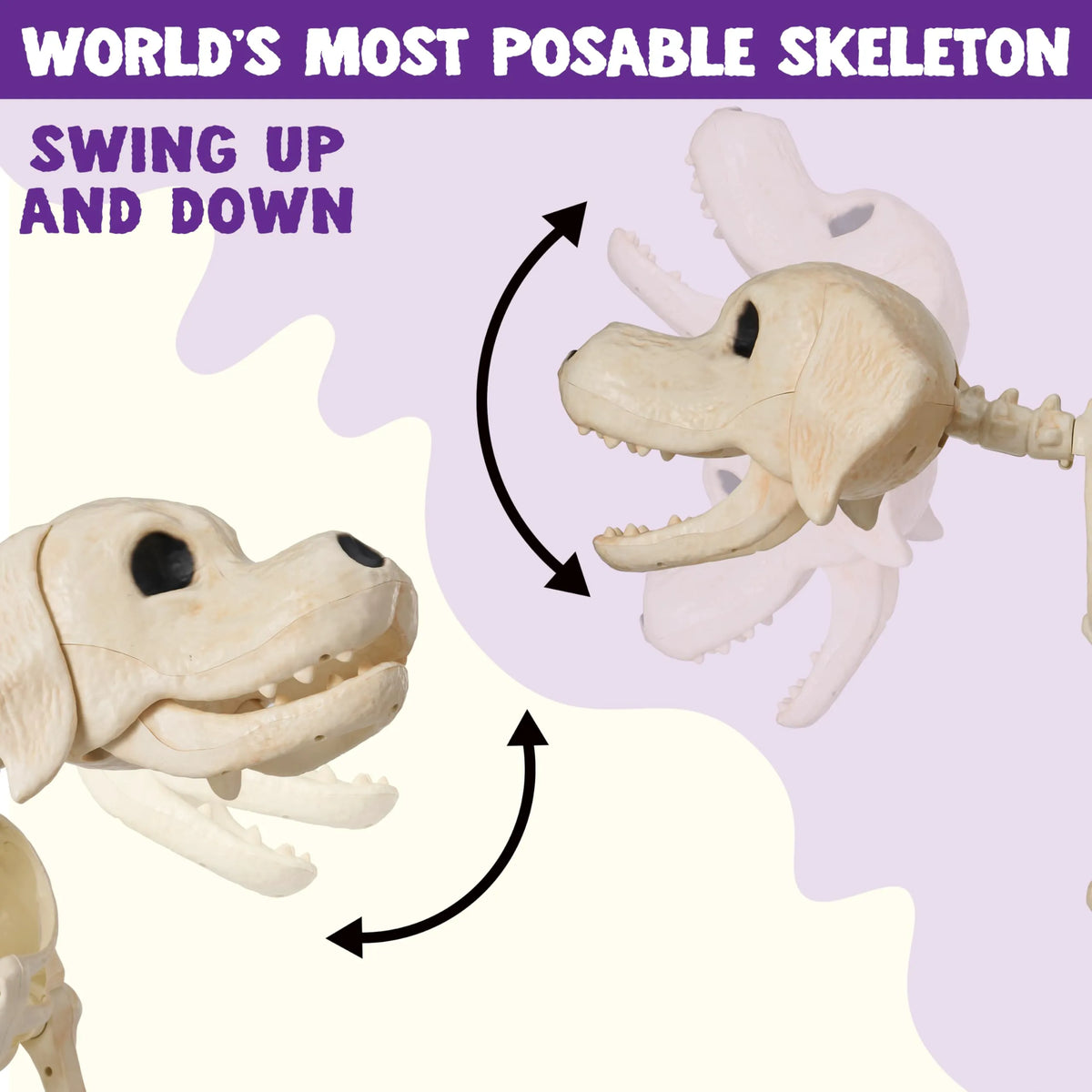 Halloween Golden Retriever Skeleton 34" Animal Dog