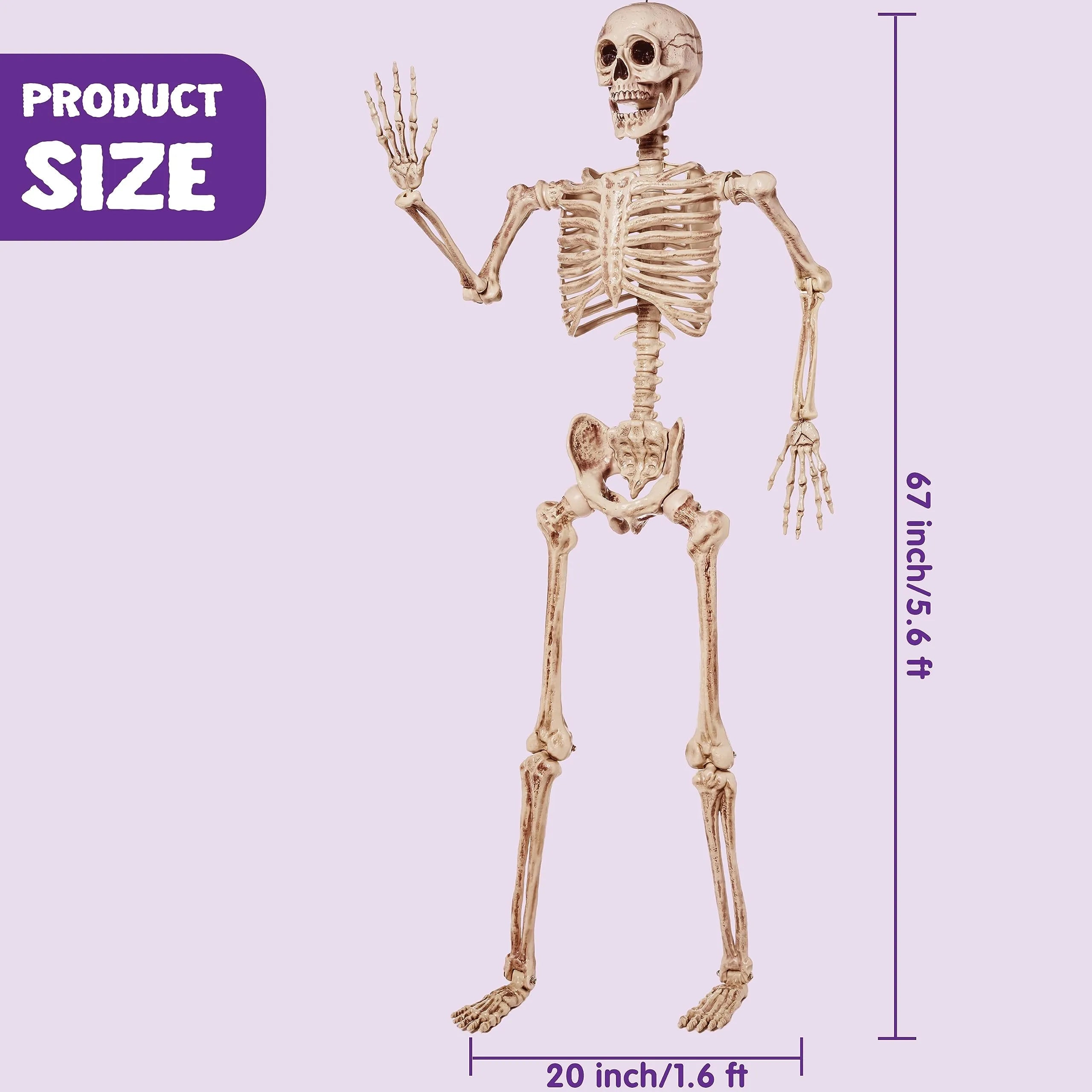 5.6 ft Halloween LED Life-Size Skeleton Full Body Human Bones