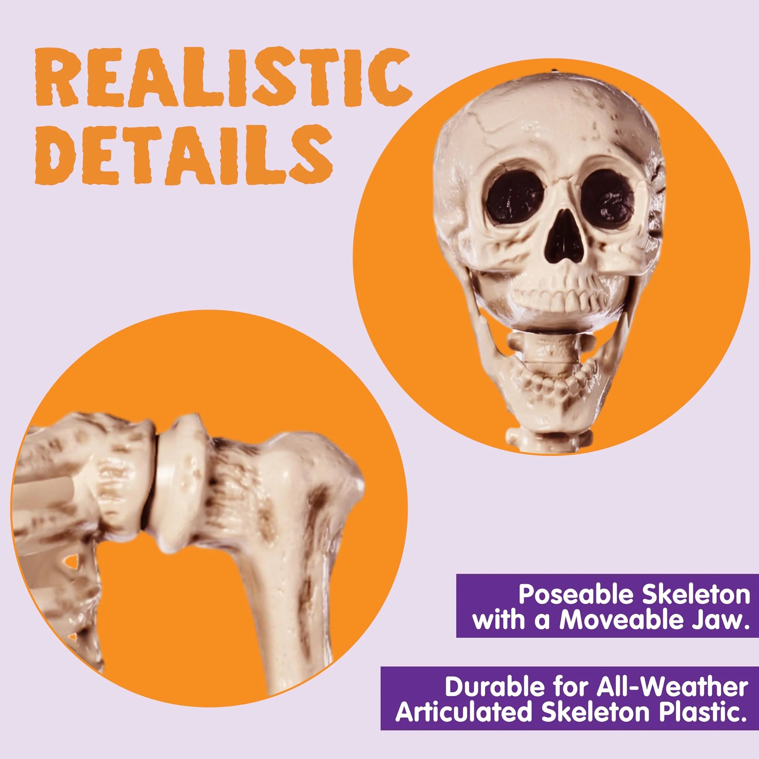 5.6 ft Life-Size Skeleton with Realistic Bones and Posable Joints