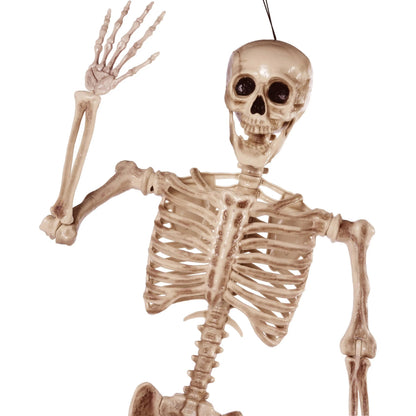 5.6ft Halloween Life Size Skeleton with Movable Joints and Realistic Bones