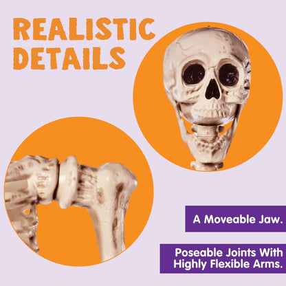 5.6ft Halloween Life Size Skeleton with Movable Joints and Realistic Bones