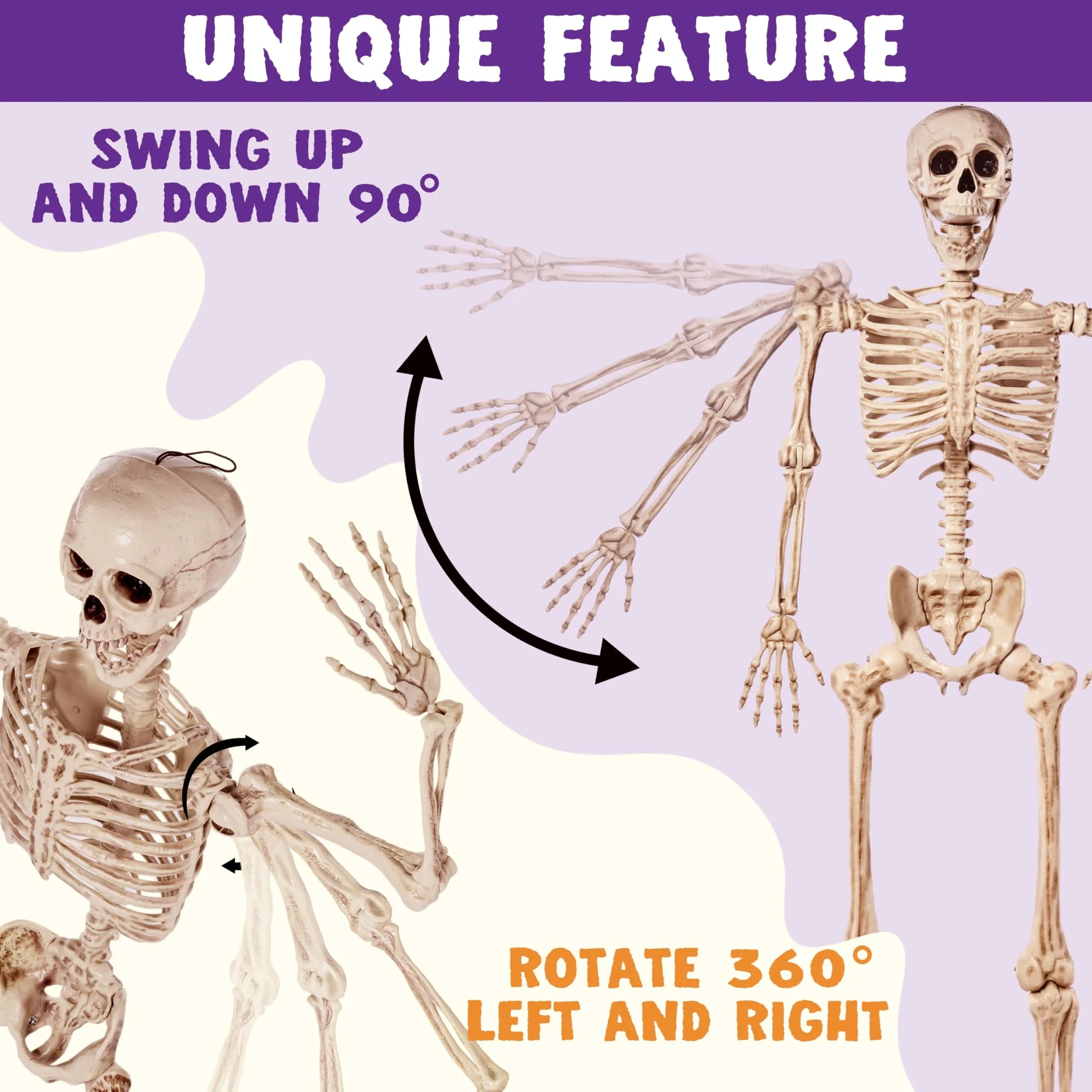 5.6ft Halloween Life Size Skeleton with Movable Joints and Realistic Bones