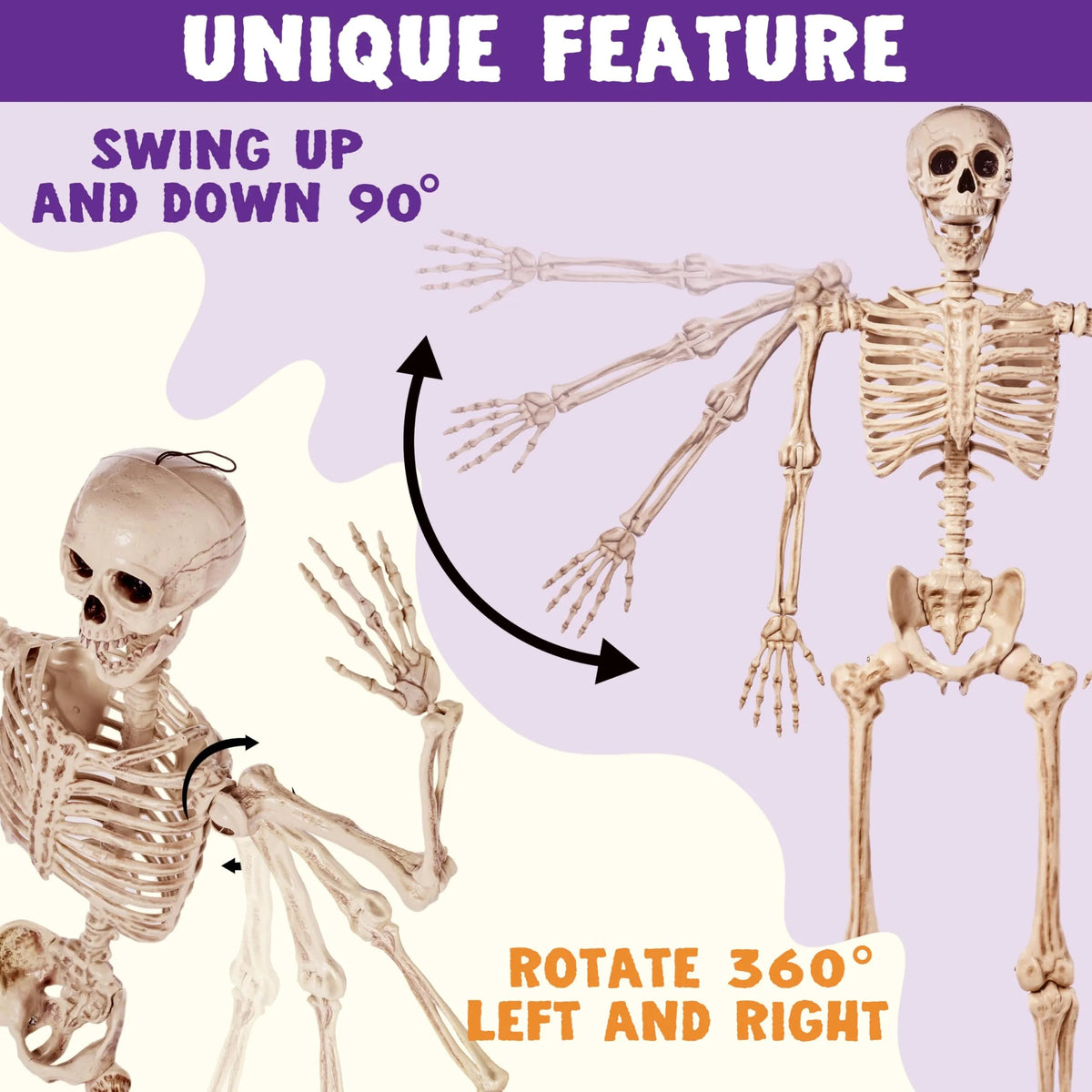 5.6ft Halloween Life Size Skeleton with Movable Joints and Realistic Bones