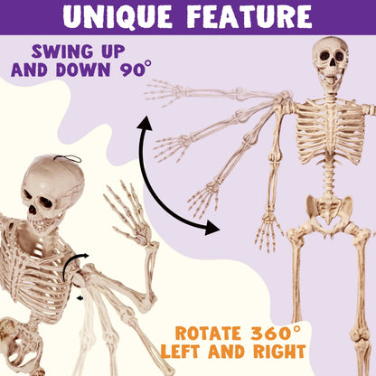 5.6ft Halloween Life Size Skeleton with Movable Joints and Realistic Bones