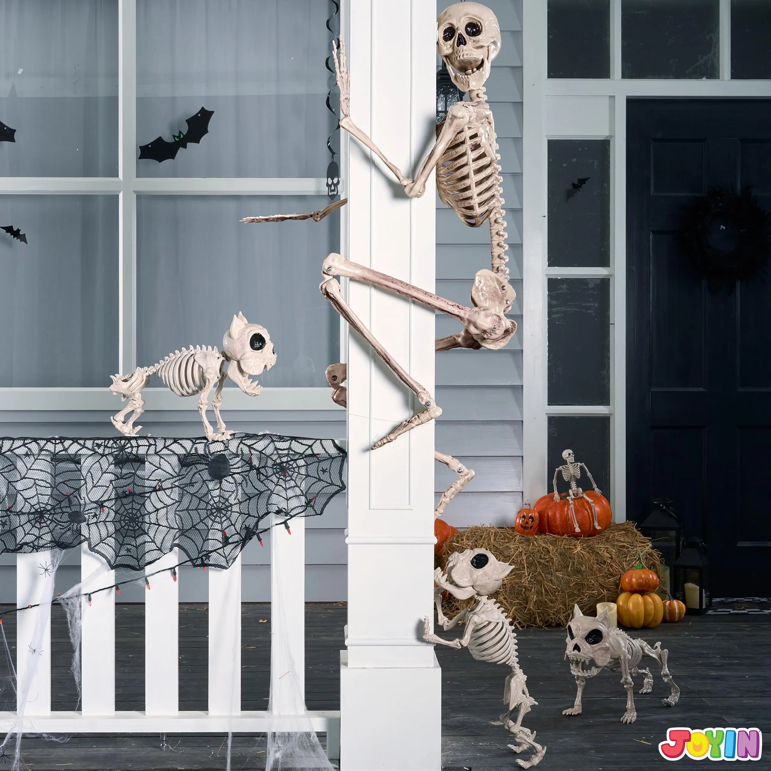 5.6ft Halloween Life Size Skeleton with Movable Joints and Realistic Bones
