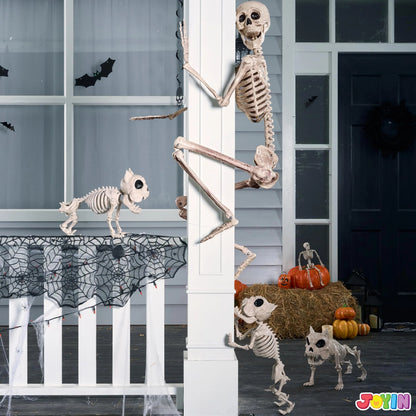 5.6ft Halloween Life Size Skeleton with Movable Joints and Realistic Bones