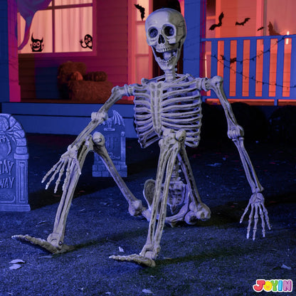 5.6ft Halloween Life Size Skeleton with Movable Joints and Realistic Bones