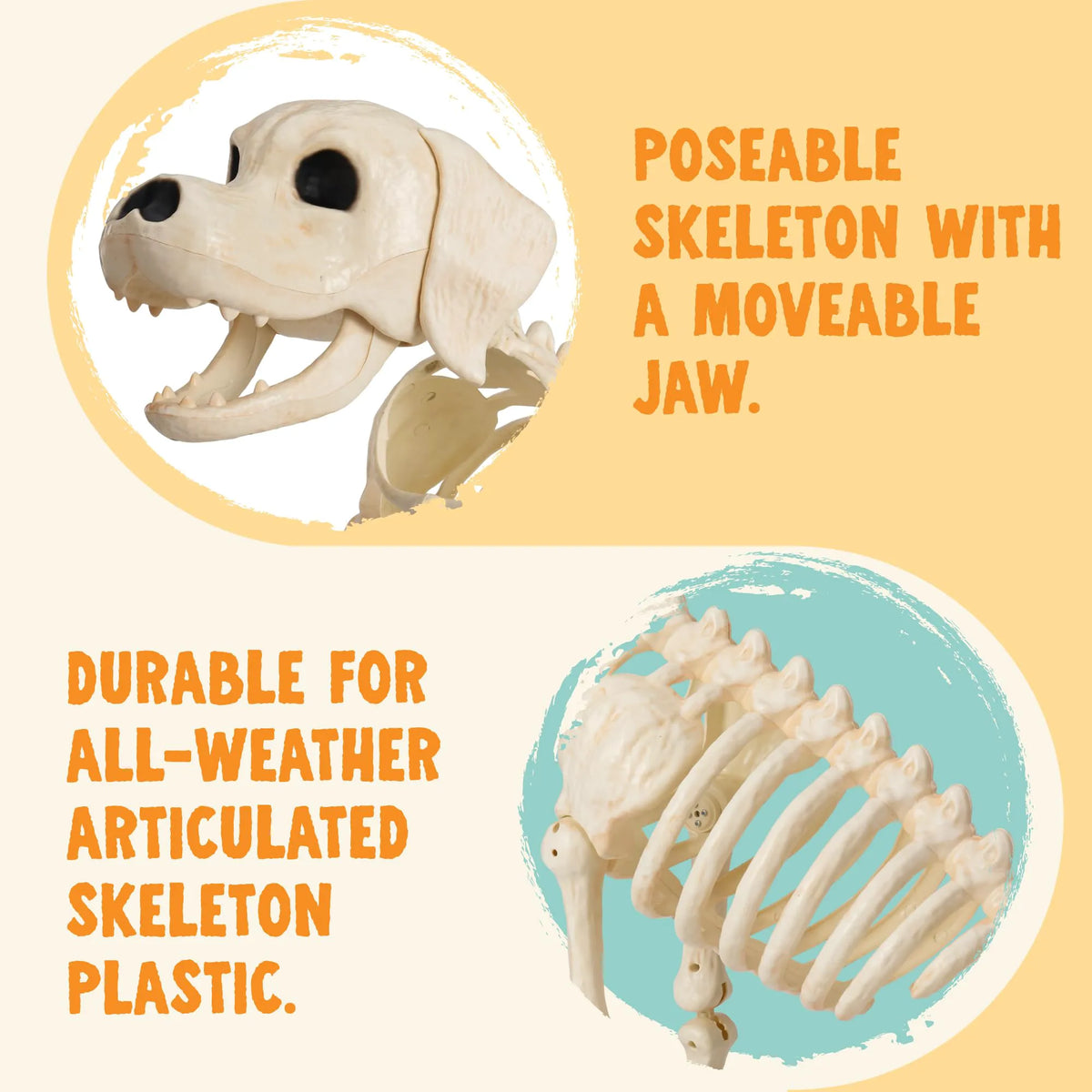 Halloween Golden Retriever Skeleton 34" Animal Dog