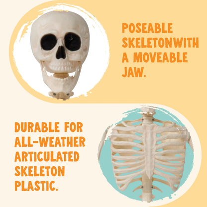 36-Inch Halloween Skeleton Decoration
