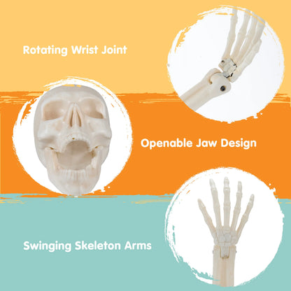 3-Piece Halloween Skeleton Decoration Set for Outdoor Use