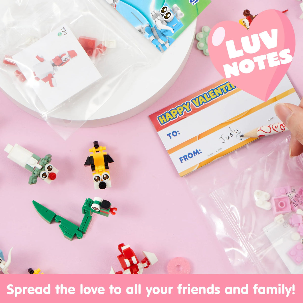 24 Pack Valentine's Day Gift Cards with Animal Building Blocks for Party Favors
