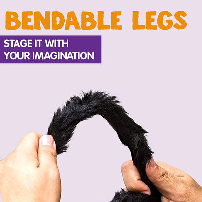 6-Pack Halloween Black Spider Set